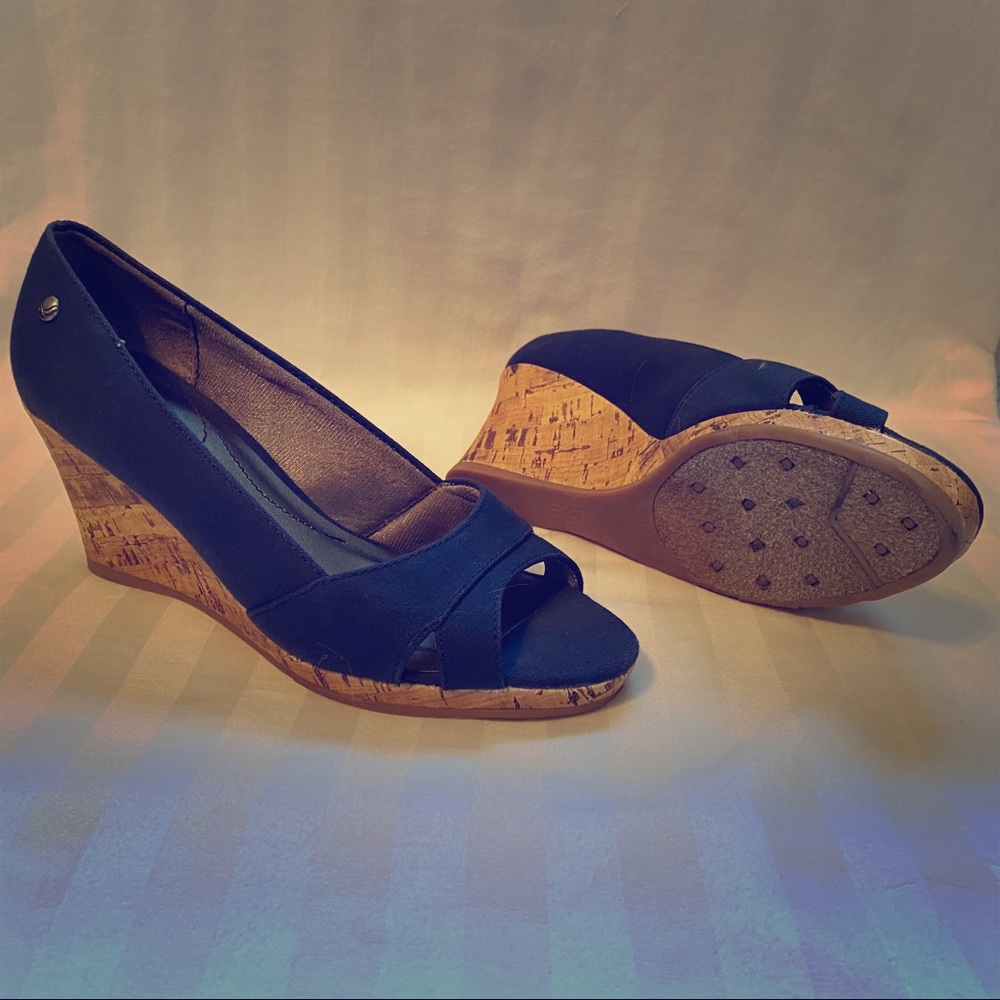 Blue wedges